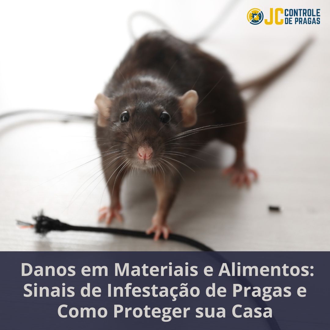 Danos em Materiais e Alimentos: Sinais de Infestação de Pragas e Como Proteger sua Casa